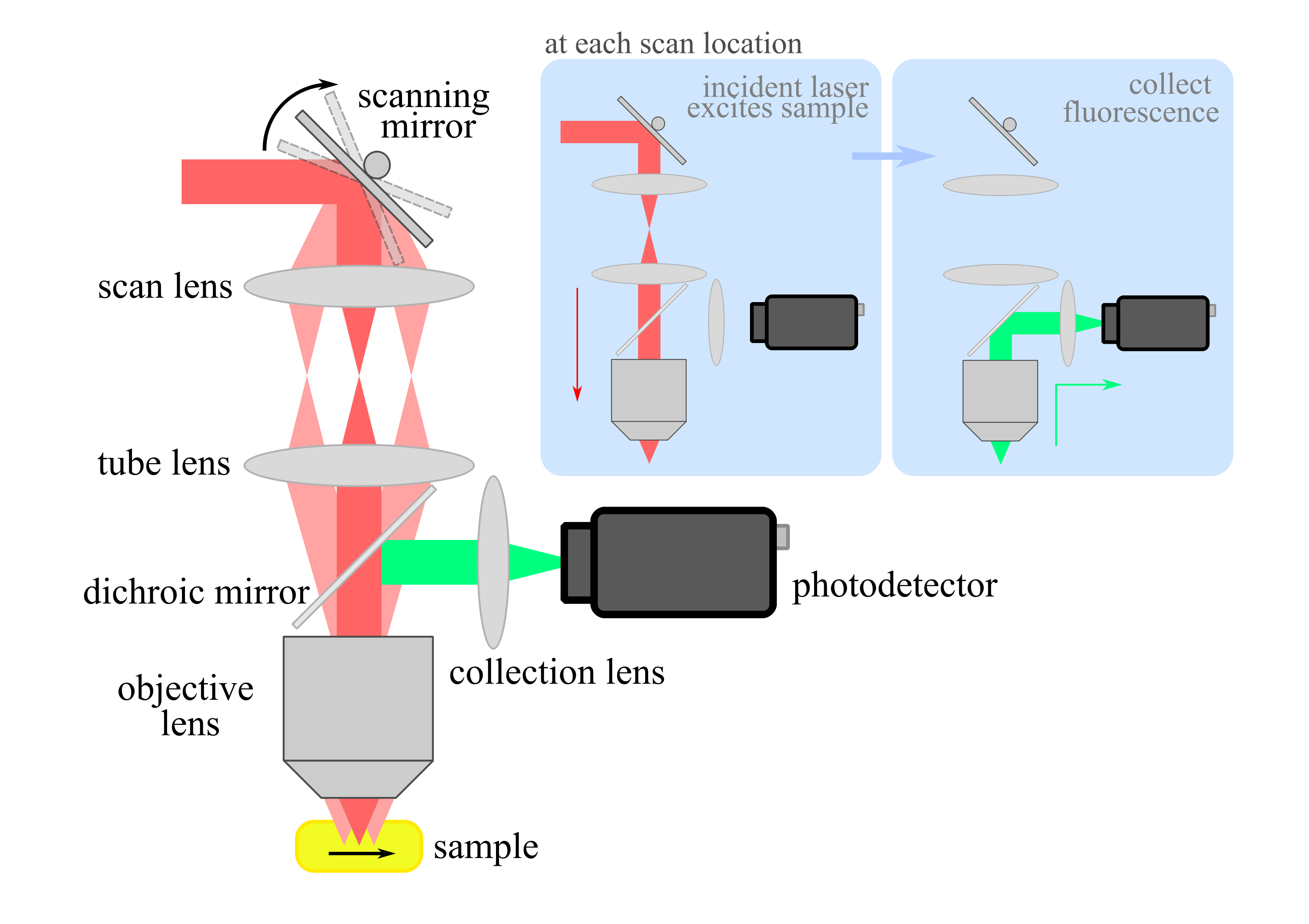 [cover image] principles of two photon fluorescence microscopy (image credit: Jian Zhong)